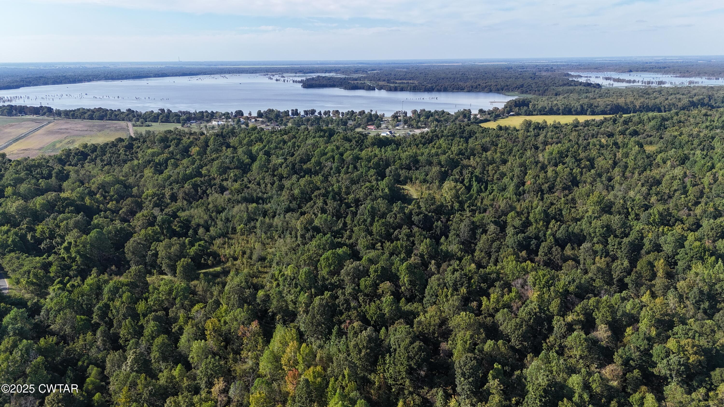 0 Dean Hill Road Hornbeak, TN 38232 - Photo 7 of 57 DJI_20251001155236_0289_D