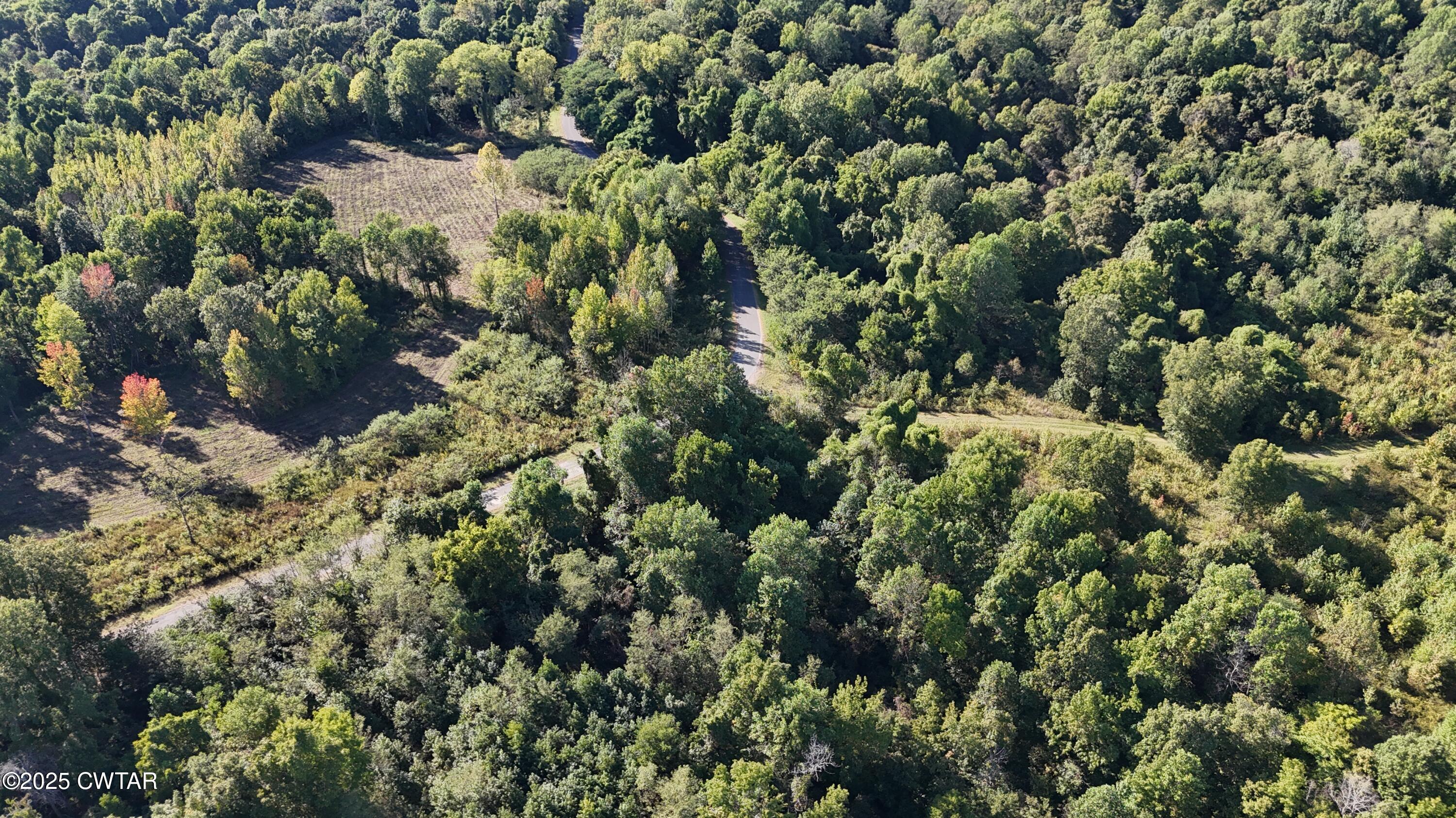 0 Dean Hill Road Hornbeak, TN 38232 - Photo 8 of 57 DJI_20251001155313_0293_D