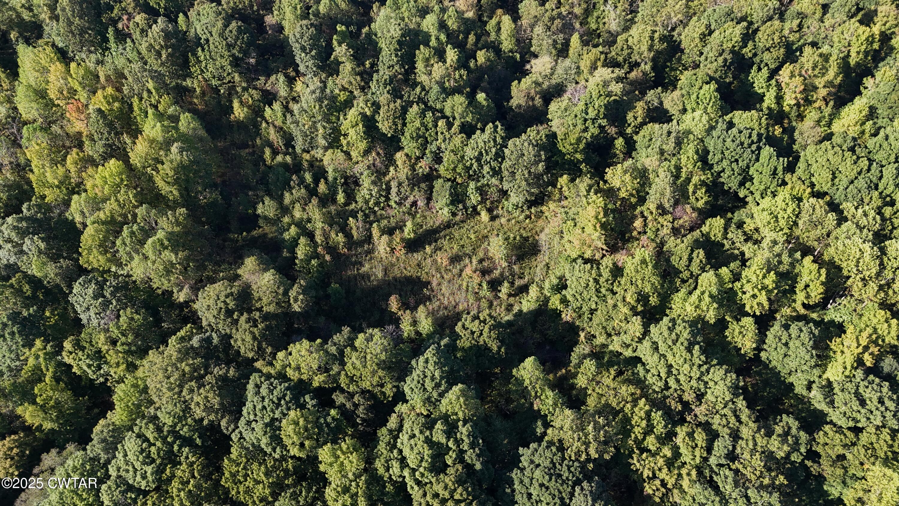 0 Dean Hill Road Hornbeak, TN 38232 - Photo 9 of 57 DJI_20251001155251_0292_D