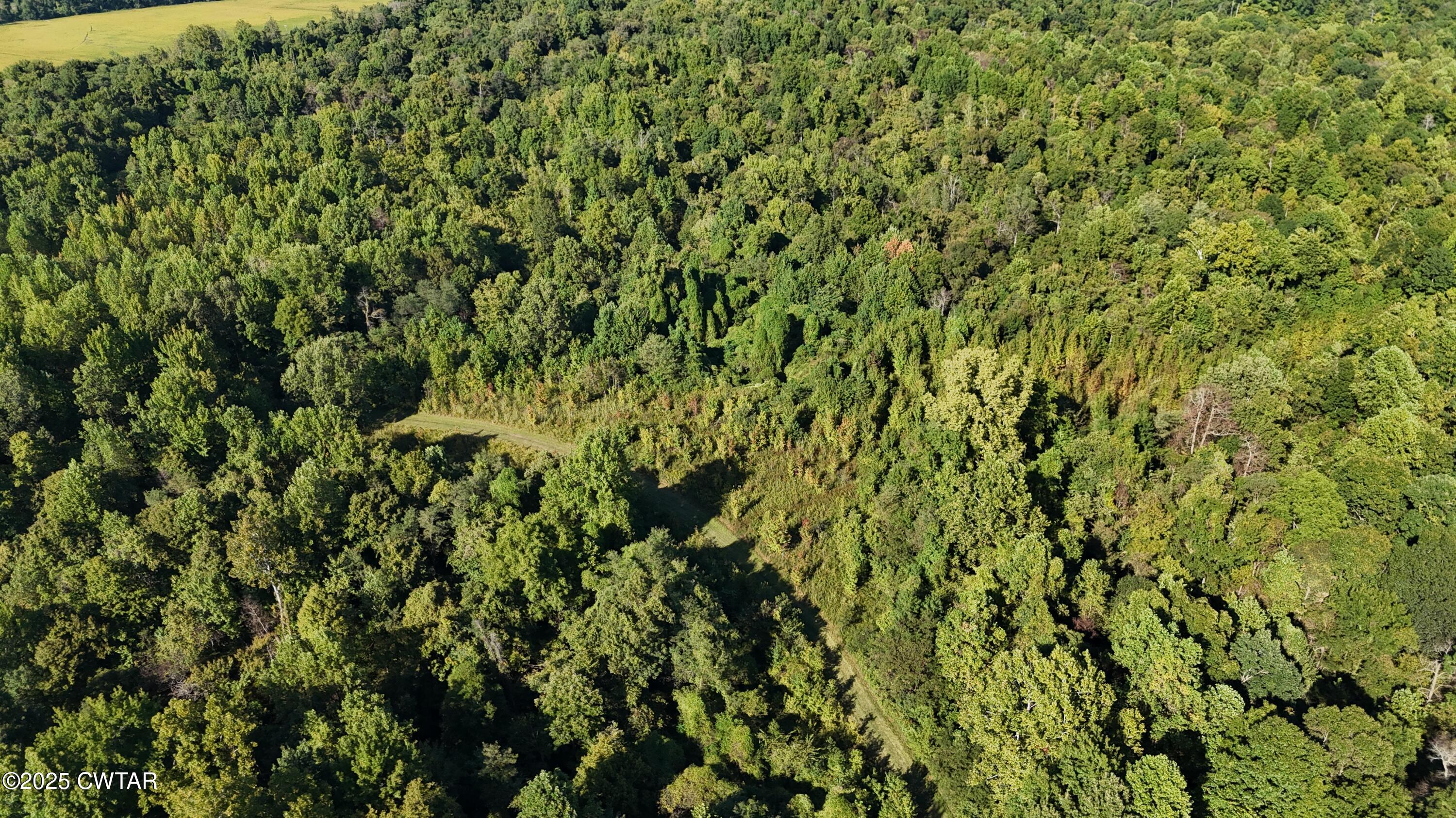 0 Dean Hill Road Hornbeak, TN 38232 - Photo 10 of 57 DJI_20251001154824_0268_D