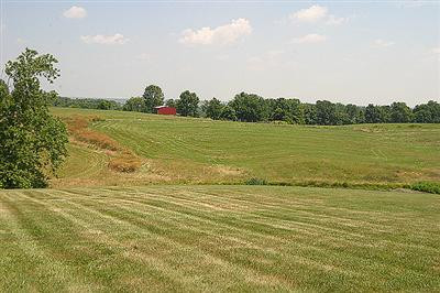 390 Pea Ridge Road Stamping Ground, KY 40379 - Photo 18 of 18 Photo 18
