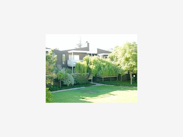 4232 George Avenue, Unit 4 San Mateo, CA 94403 - Photo 1 of 1 a view of a terrace with a garden
