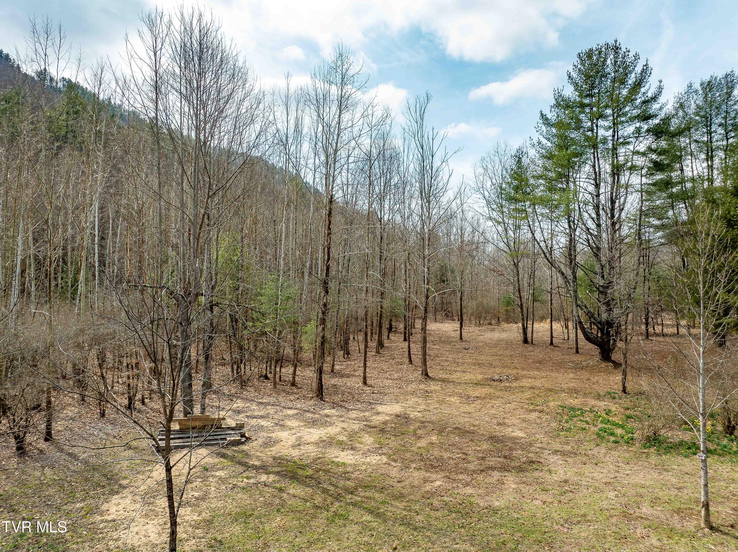 9613 Roan Creek Road Butler, TN 37640 - Photo 26 of 71 9613 Roan Creek Road (26 of 71)