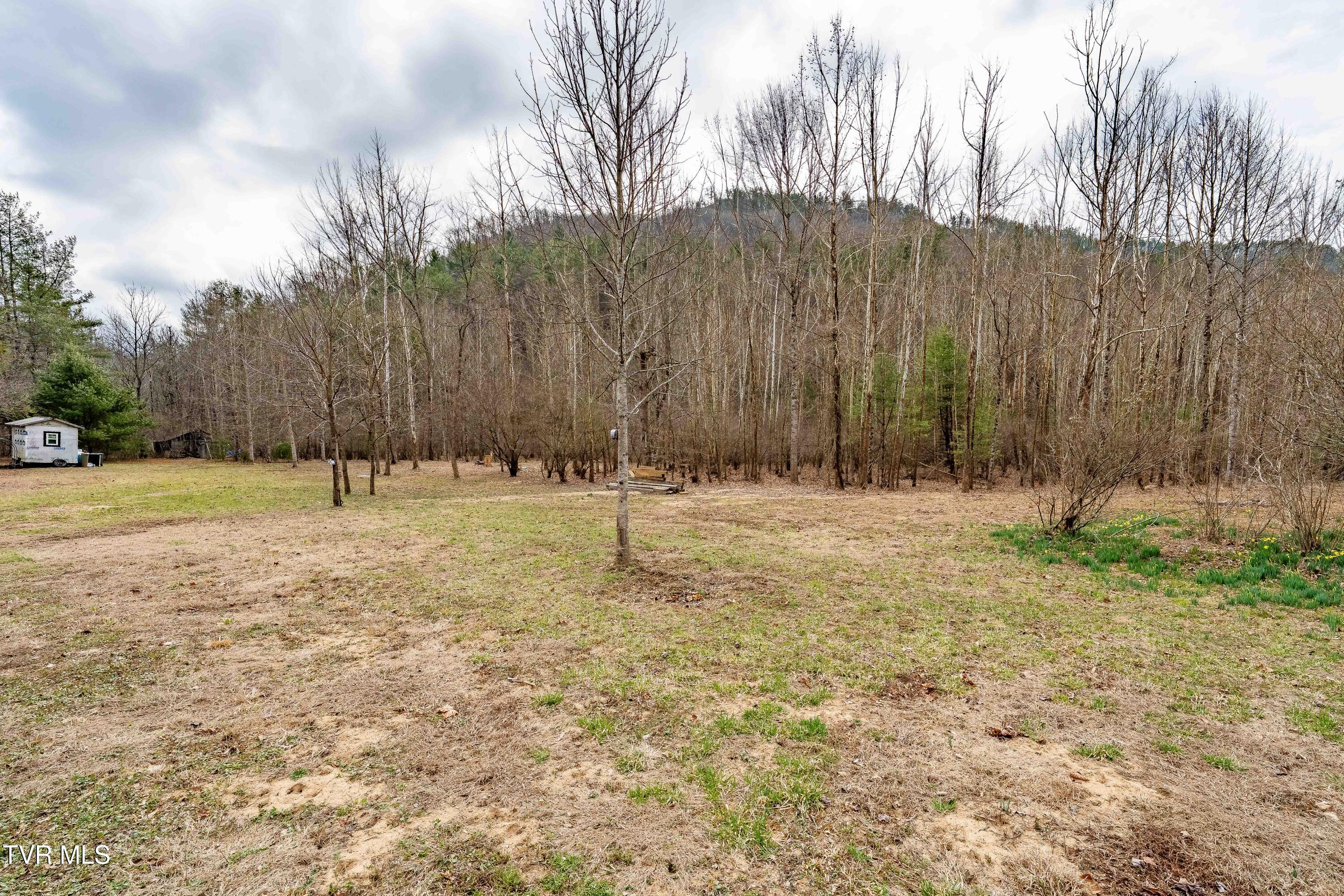 9613 Roan Creek Road Butler, TN 37640 - Photo 40 of 71 9613 Roan Creek Road (40 of 71)