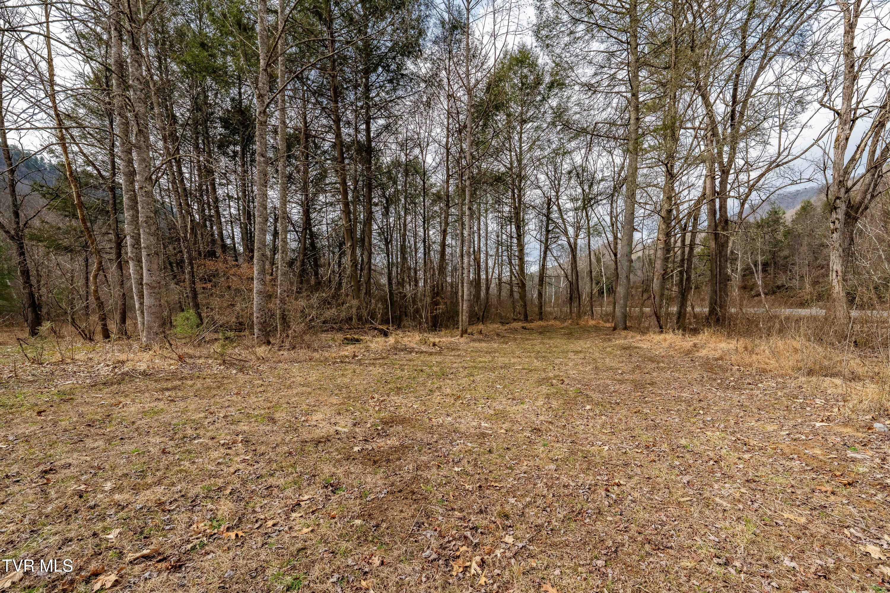 9613 Roan Creek Road Butler, TN 37640 - Photo 43 of 71 9613 Roan Creek Road (43 of 71)