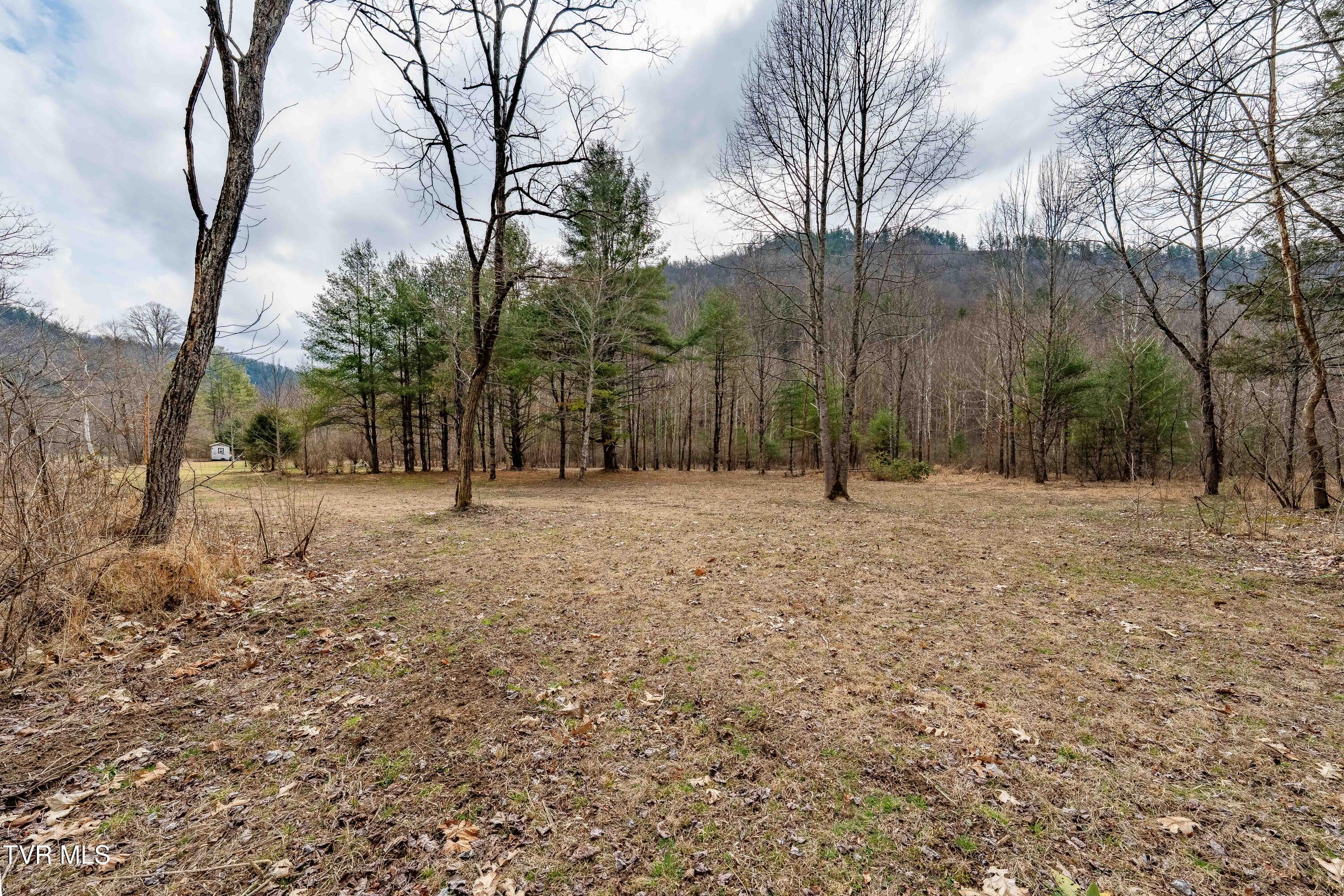 9613 Roan Creek Road Butler, TN 37640 - Photo 44 of 71 9613 Roan Creek Road (44 of 71)