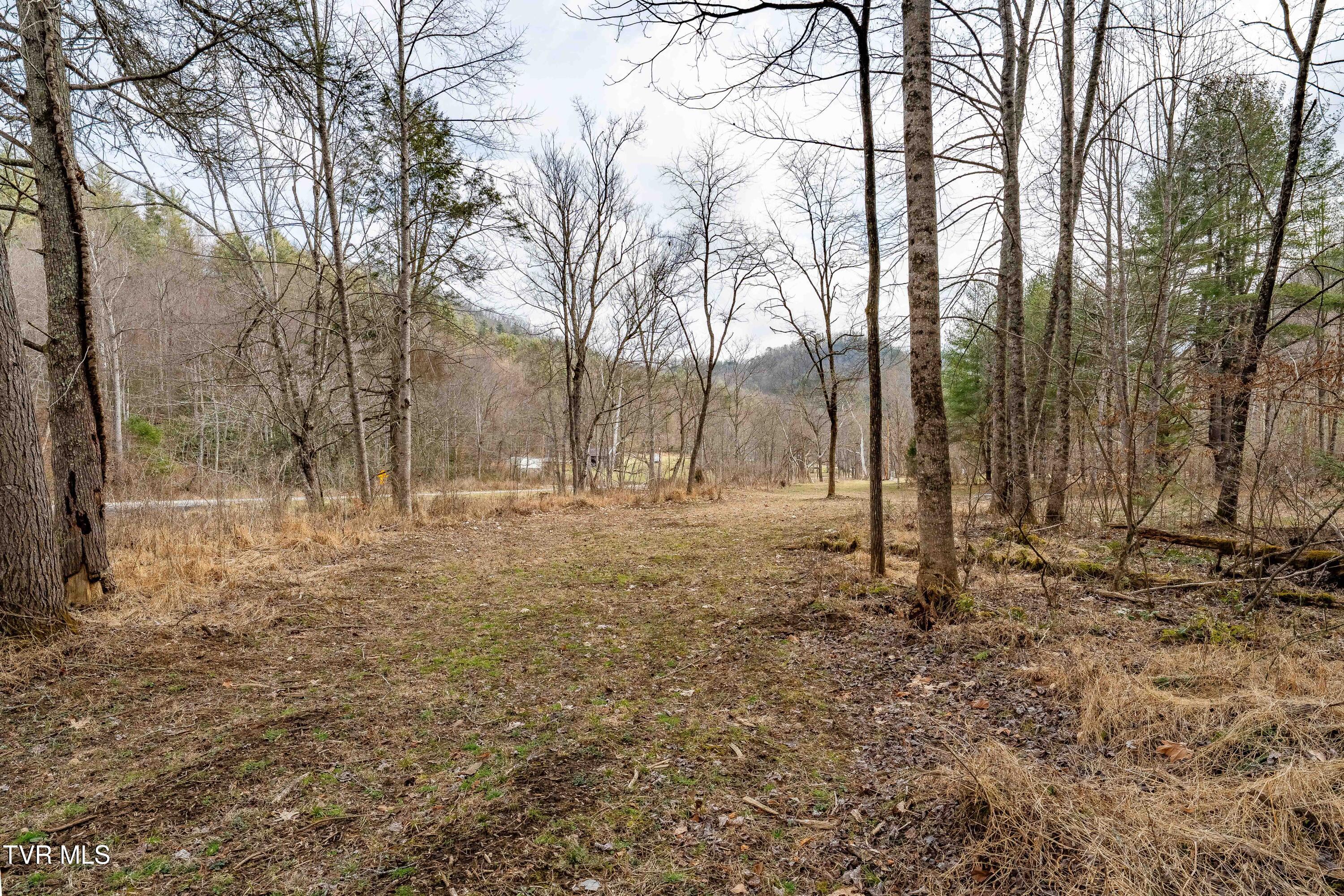 9613 Roan Creek Road Butler, TN 37640 - Photo 53 of 71 9613 Roan Creek Road (53 of 71)