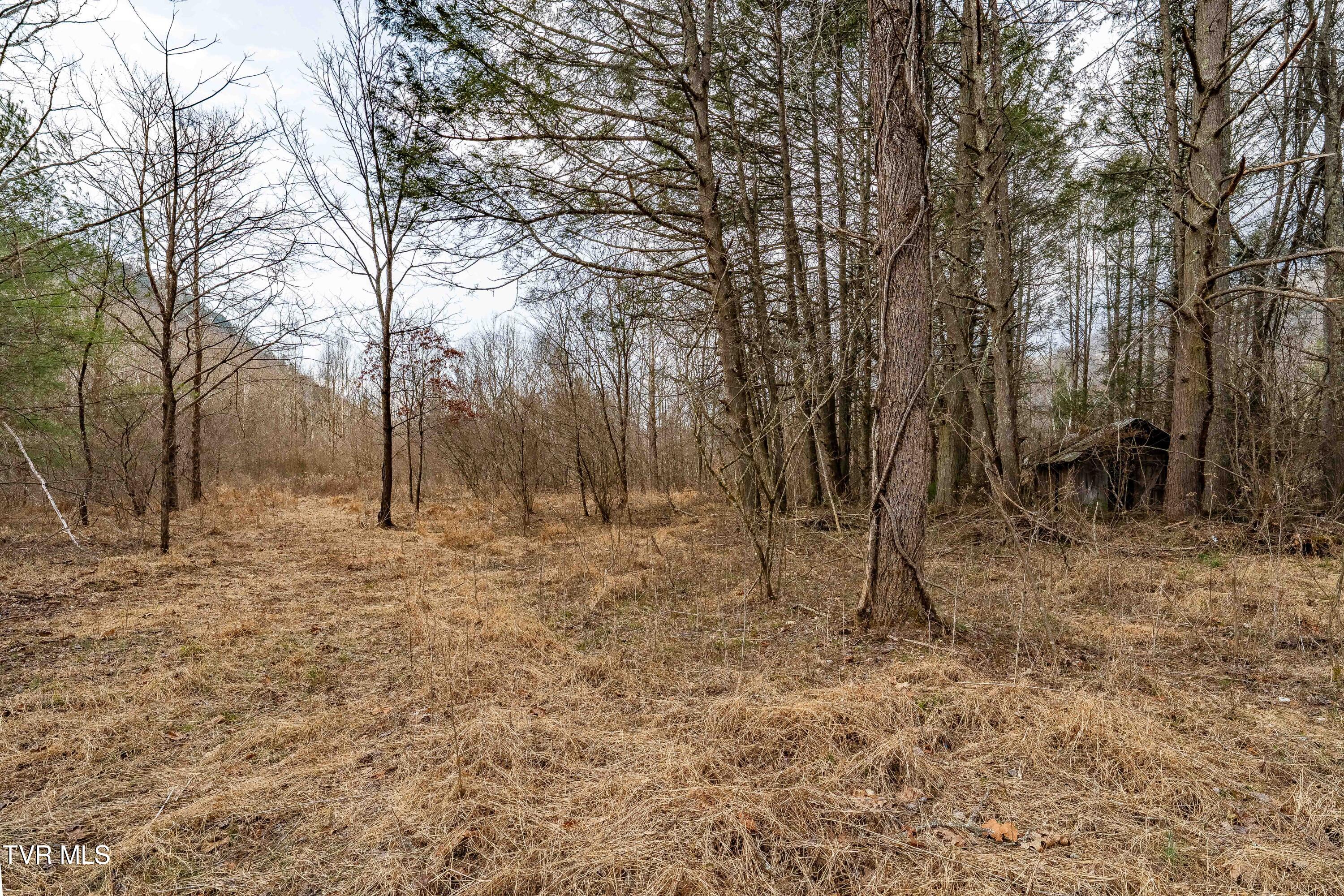 9613 Roan Creek Road Butler, TN 37640 - Photo 55 of 71 9613 Roan Creek Road (55 of 71)