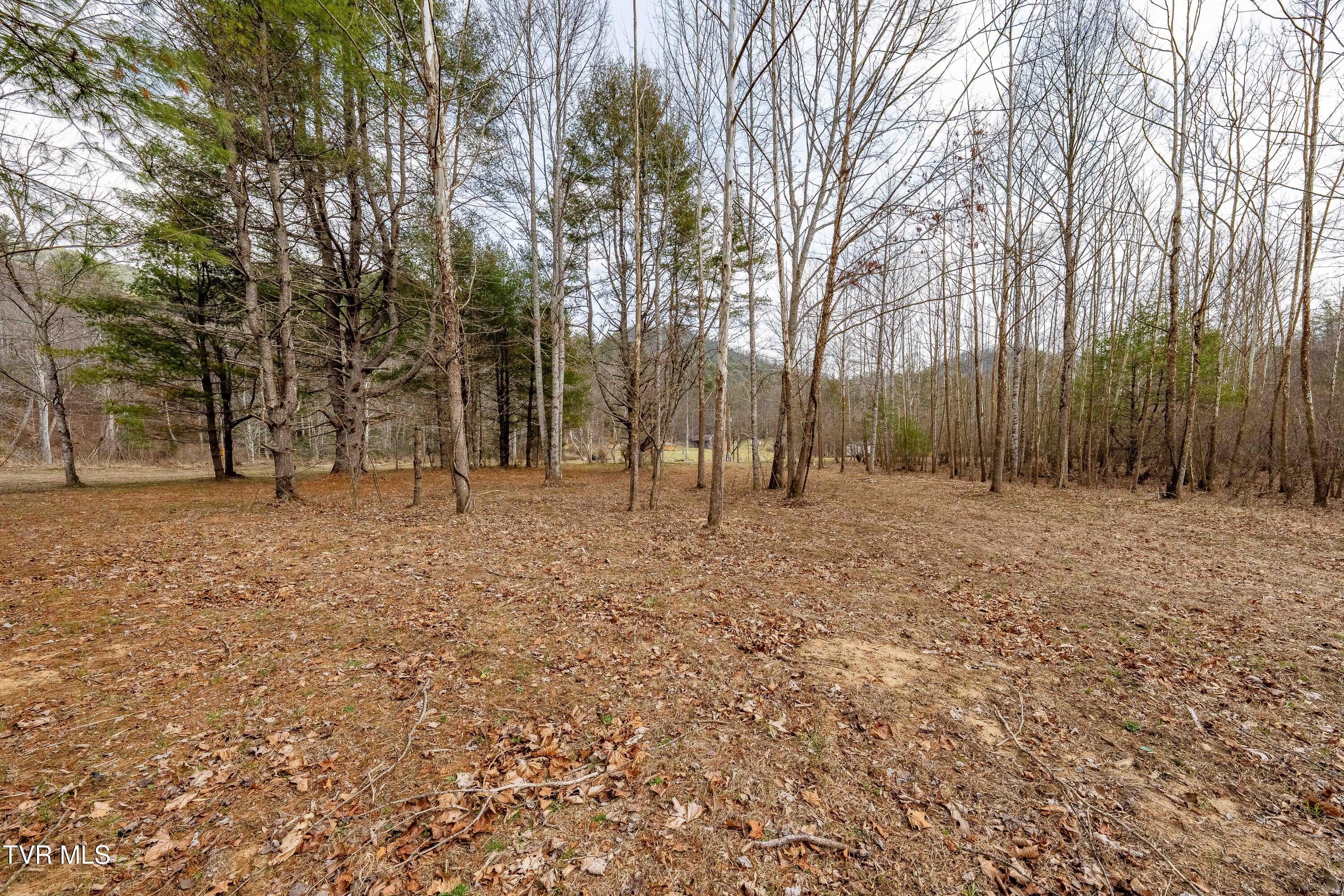 9613 Roan Creek Road Butler, TN 37640 - Photo 56 of 71 9613 Roan Creek Road (56 of 71)