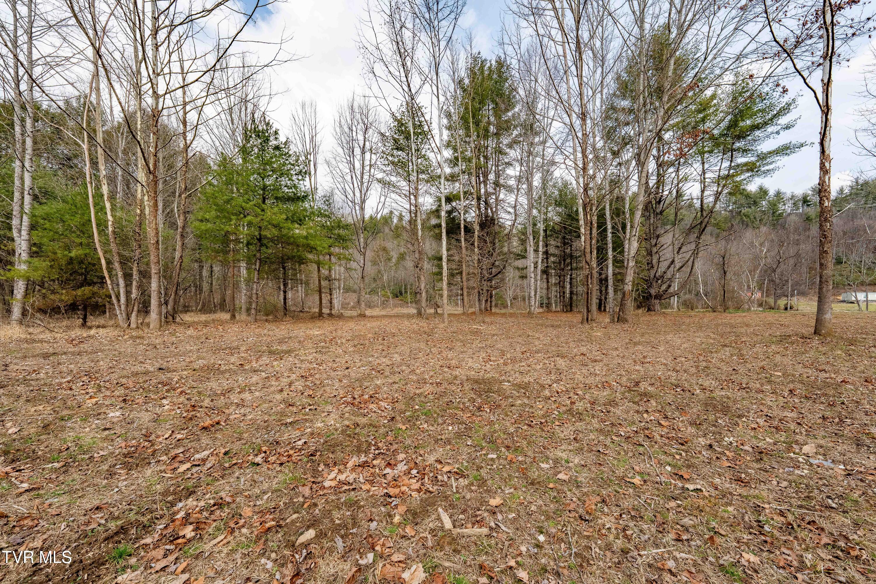 9613 Roan Creek Road Butler, TN 37640 - Photo 57 of 71 9613 Roan Creek Road (57 of 71)