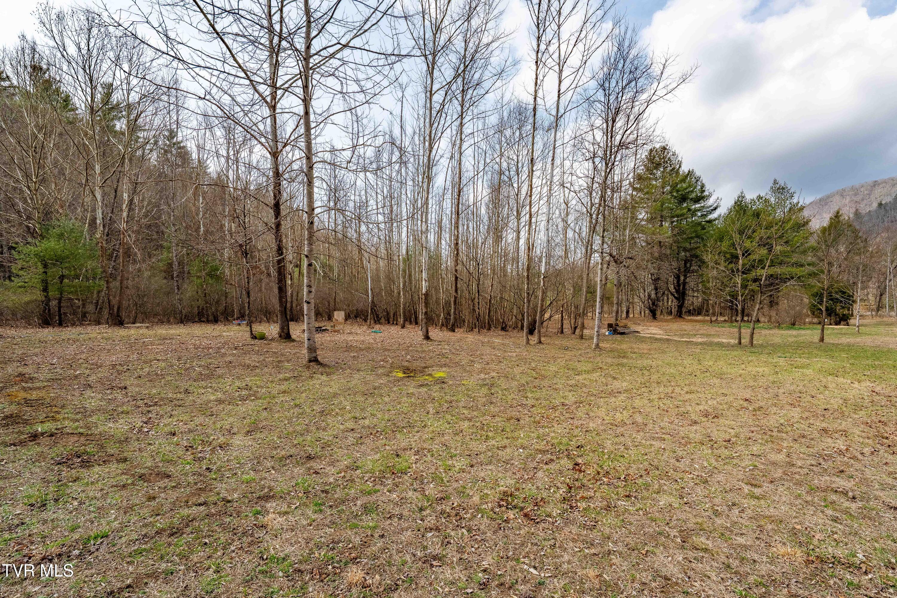 9613 Roan Creek Road Butler, TN 37640 - Photo 62 of 71 9613 Roan Creek Road (62 of 71)