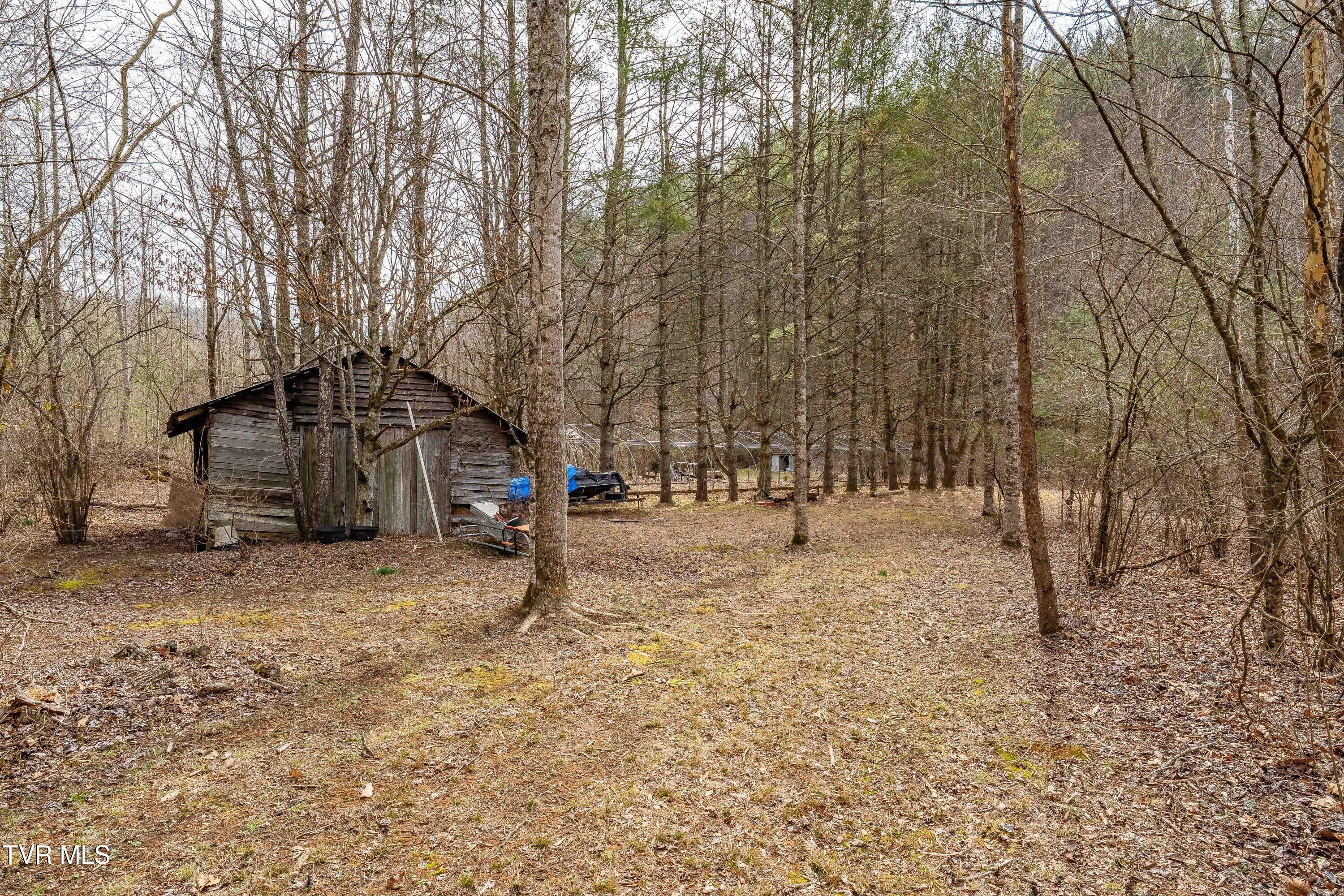 9613 Roan Creek Road Butler, TN 37640 - Photo 63 of 71 9613 Roan Creek Road (63 of 71)