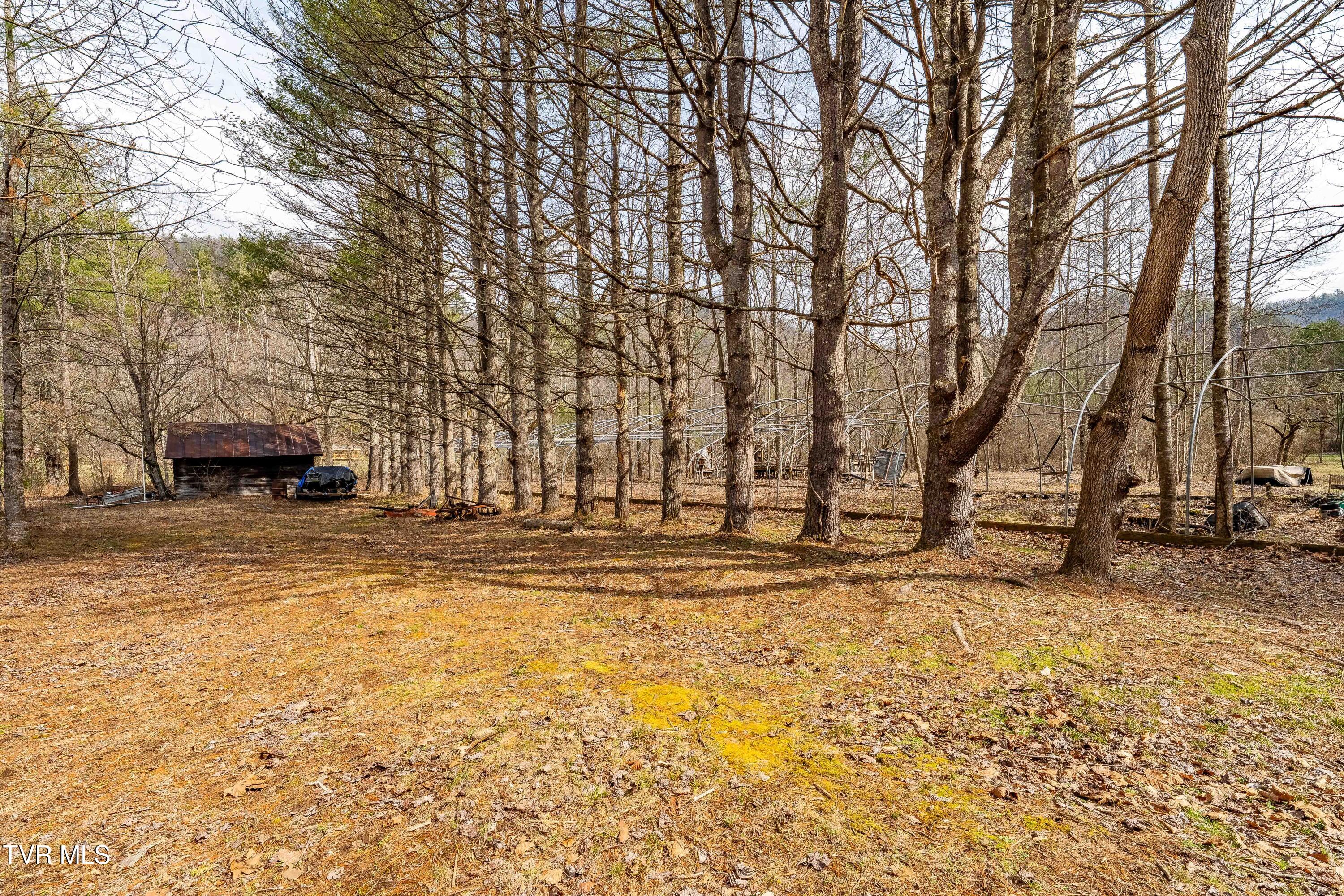 9613 Roan Creek Road Butler, TN 37640 - Photo 65 of 71 9613 Roan Creek Road (65 of 71)
