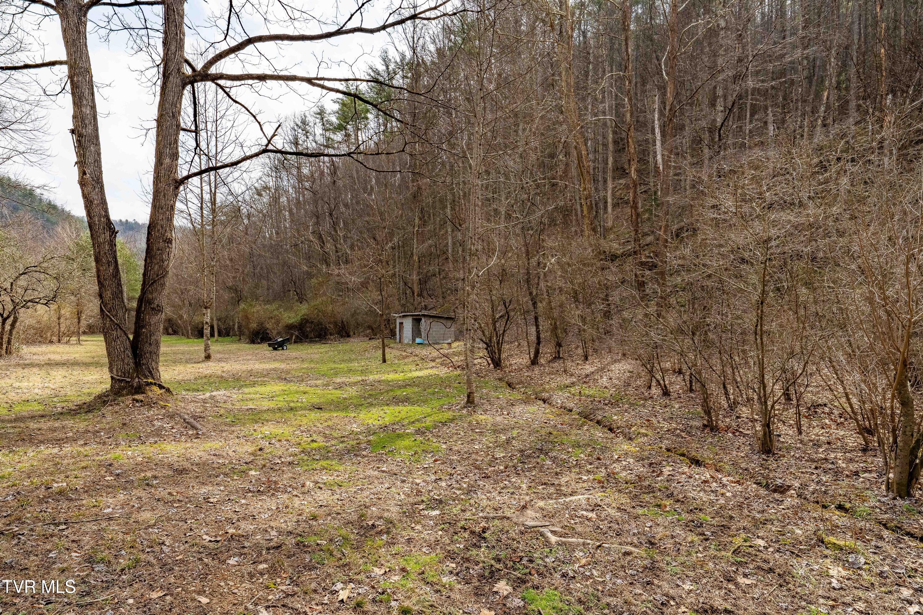 9613 Roan Creek Road Butler, TN 37640 - Photo 66 of 71 9613 Roan Creek Road (66 of 71)