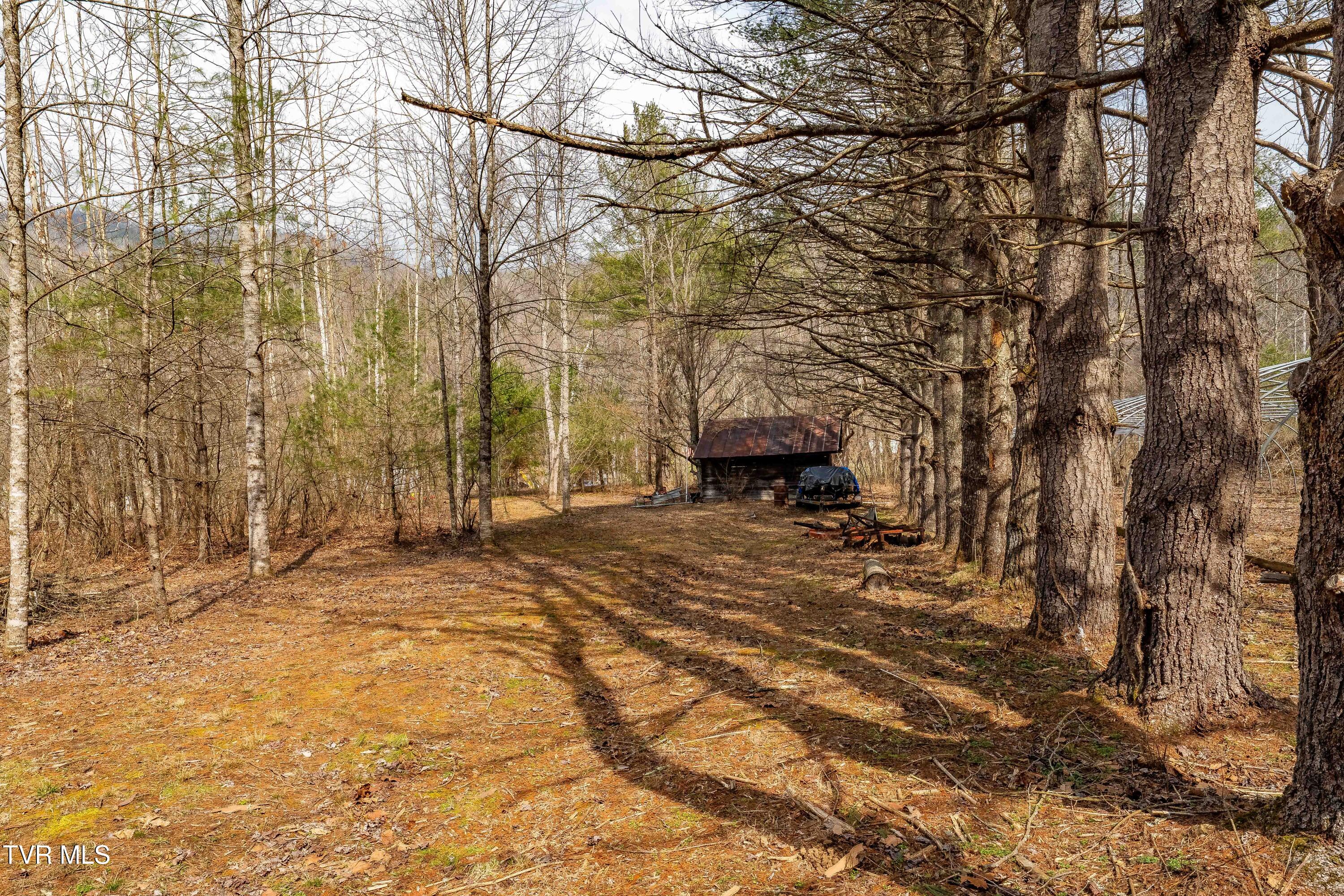 9613 Roan Creek Road Butler, TN 37640 - Photo 71 of 71 9613 Roan Creek Road (71 of 71)