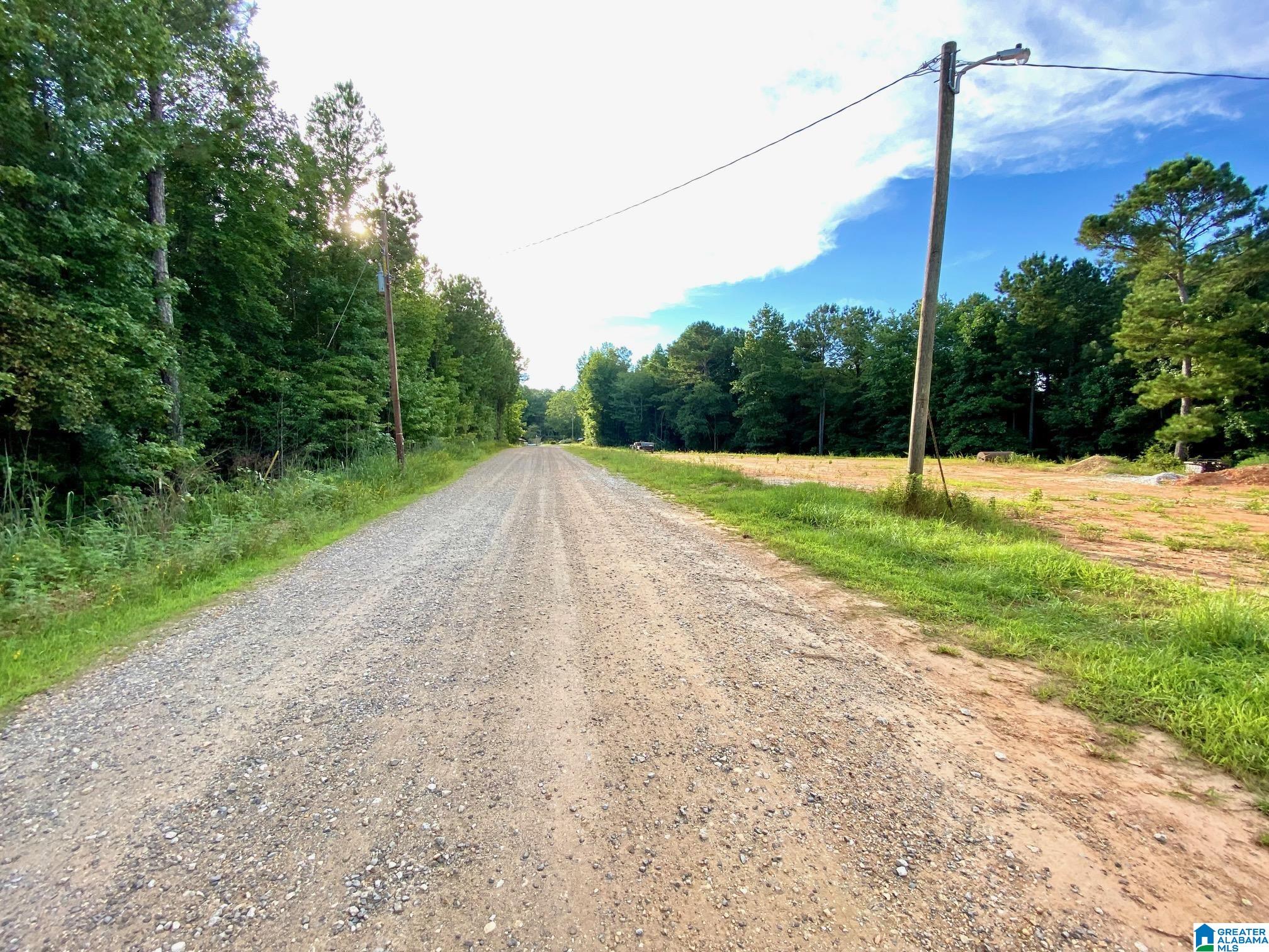 0 County Road 852, Unit 1 Ranburne, AL 36273 - Photo 7 of 11
