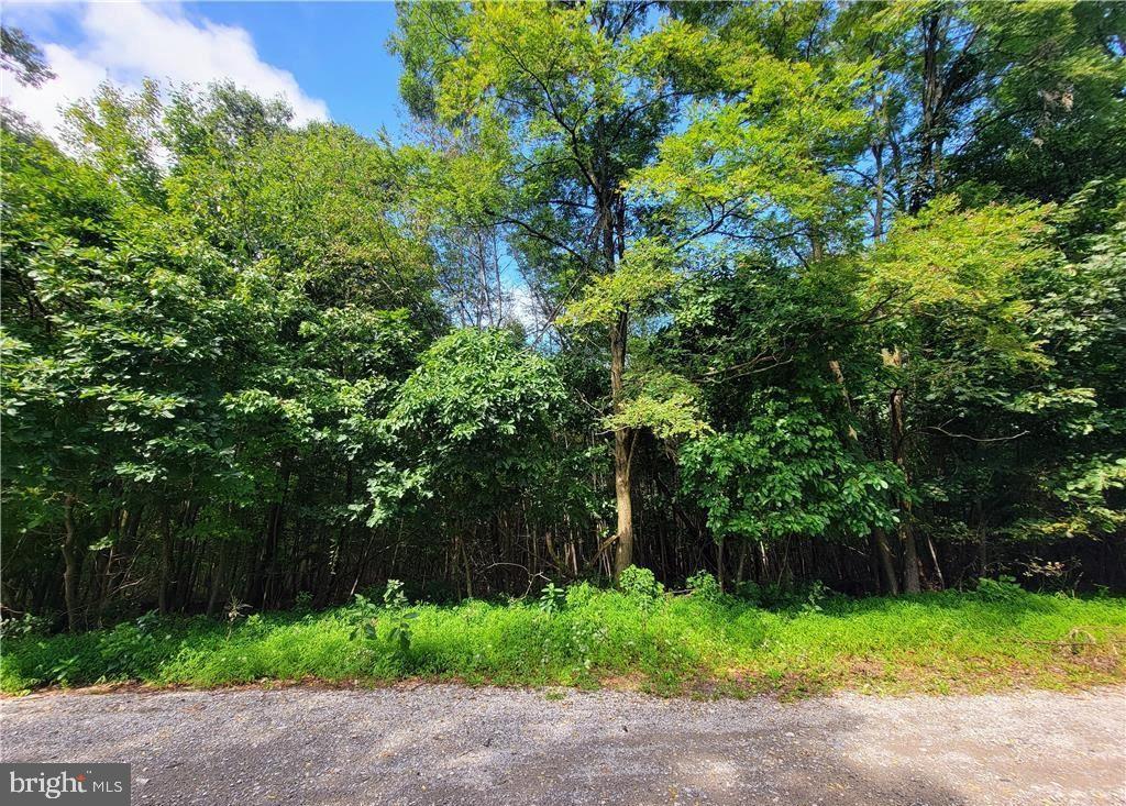 Whitetail Crossing Road Tamaqua, PA 18252 - Photo 2 of 4 a backyard of a house with lots of green space