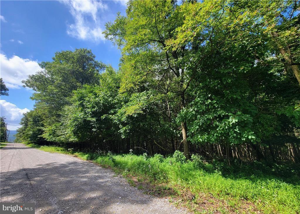 Whitetail Crossing Road Tamaqua, PA 18252 - Photo 4 of 4 a view of a yard