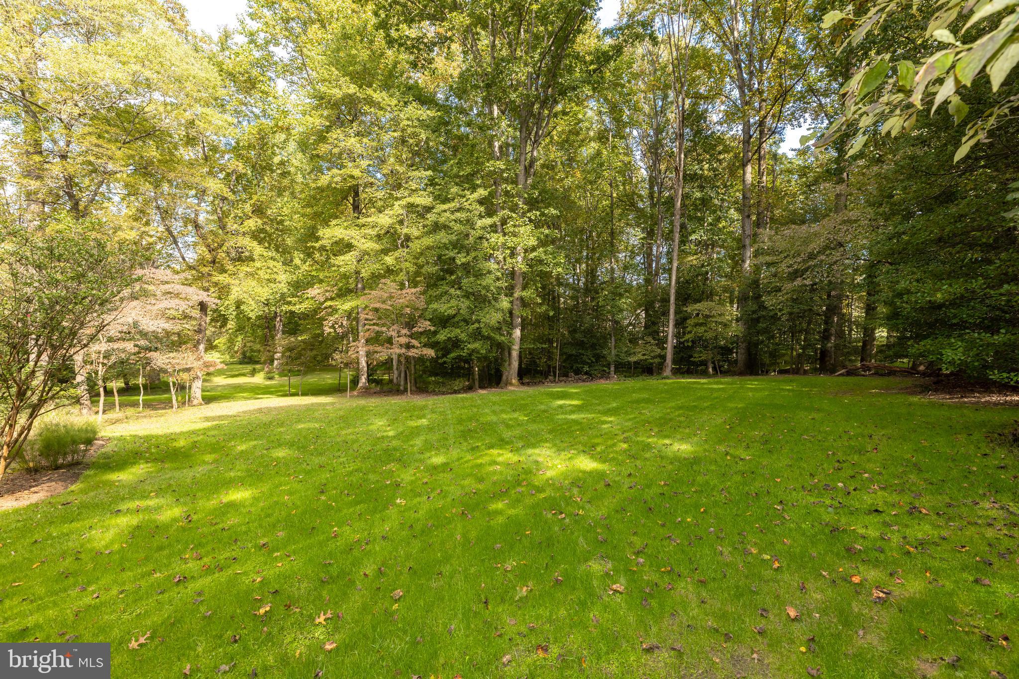 2713 Colt Run Road Oakton, VA 22124 - Photo 36 of 36 Lawn