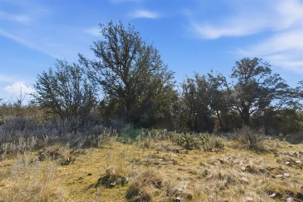 a view of lake with green space
