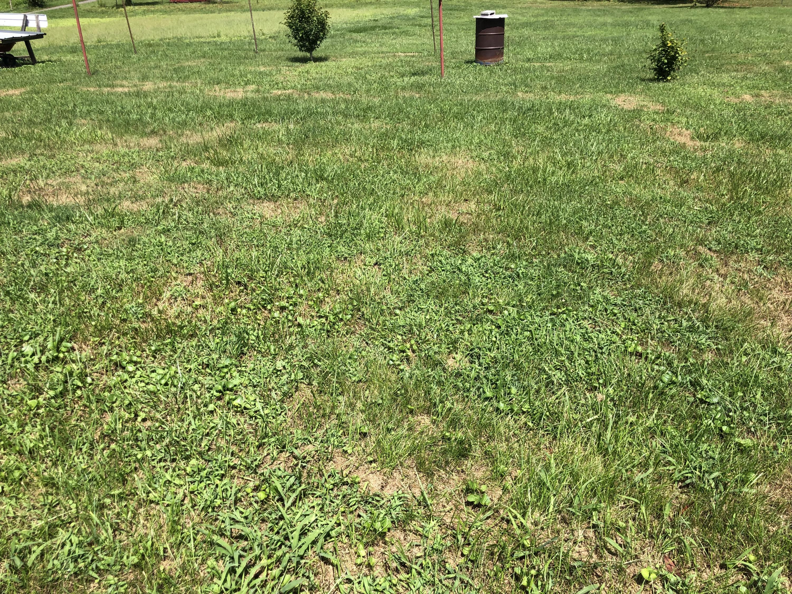 216 Beatty Road Rose Hill, VA 24281 - Photo 8 of 21 E520B664-BD59-4B3E-9AD3-87C3458D5223