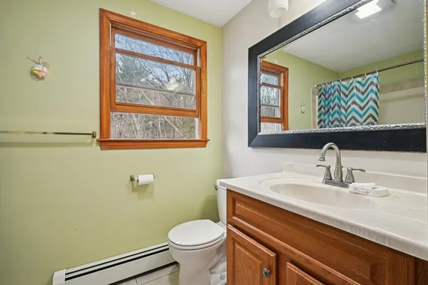 a bathroom with a sink mirror vanity and a toilet