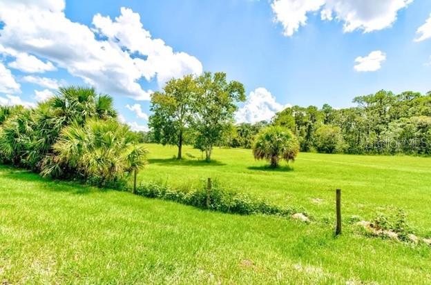 320 Talisi Loop St. Cloud, FL 34771 - Photo 42 of 44