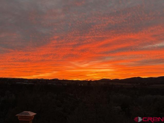 45 Pine Ridge Road Durango, CO 81301 - Photo 6 of 44