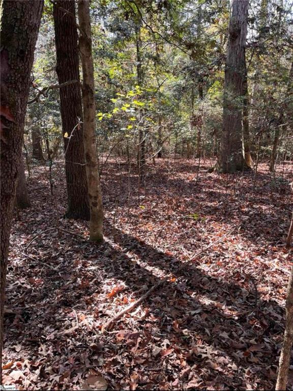 0 Evergreen Church Road Apex, NC 27523 - Photo 4 of 4 a view of a yard