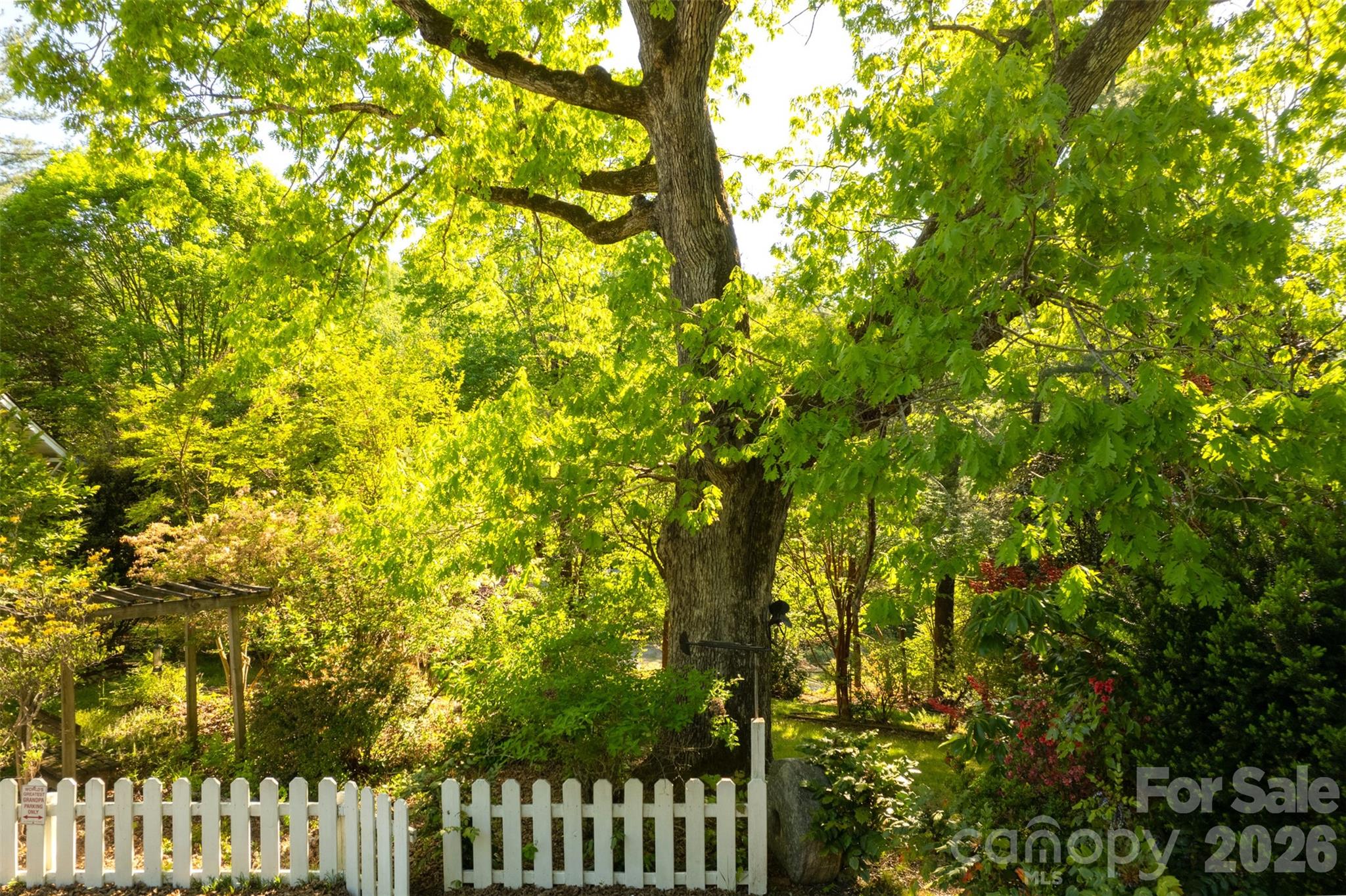 484 Yancey Road Marion, NC 28752 - Photo 8 of 33