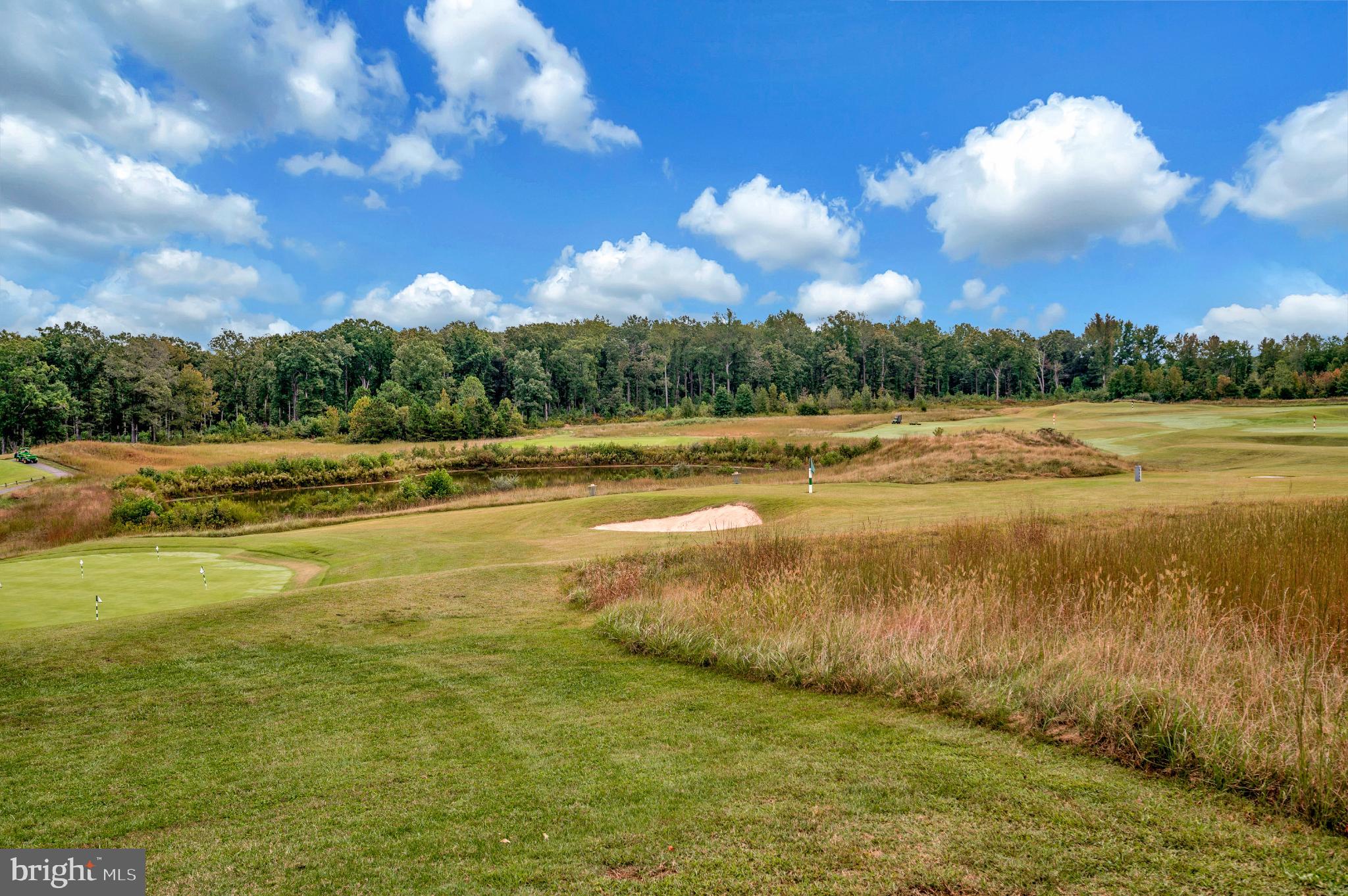 18323 Congressional Circle Ruther Glen, VA 22546 - Photo 49 of 75 Golf course Under a Blue Sky