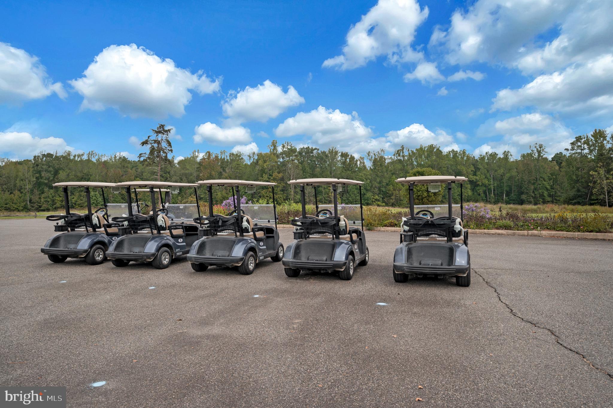 18323 Congressional Circle Ruther Glen, VA 22546 - Photo 54 of 75 Row of Golf Carts Ready For the Course.