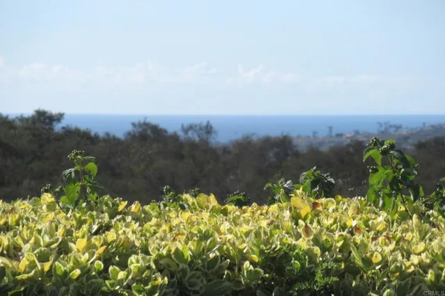 a view of a garden with a building in the background