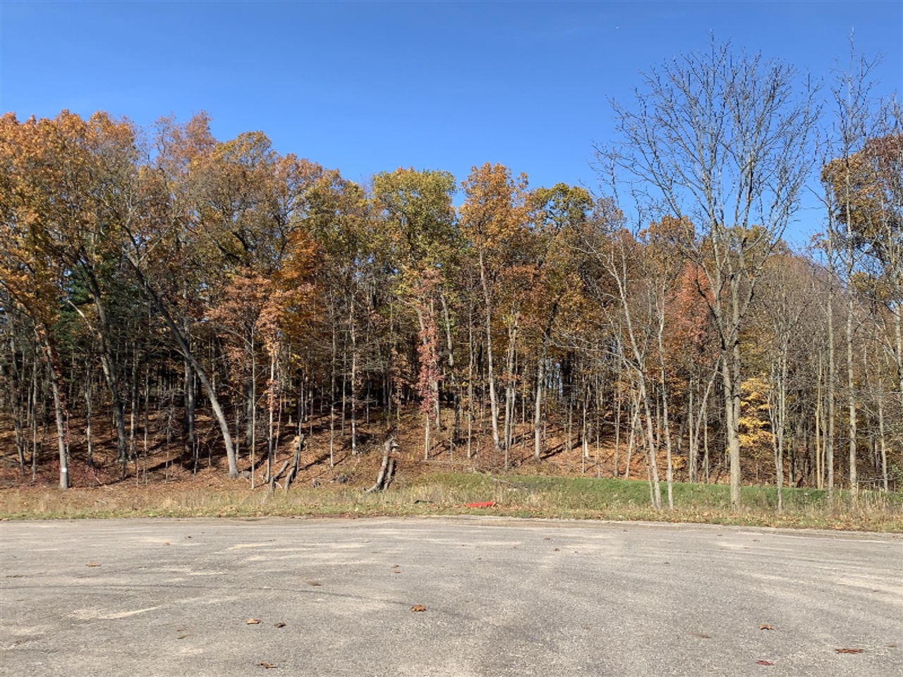 2864 Kissing Ridge Drive Southeast Lowell, MI 49331 - Photo 6 of 6