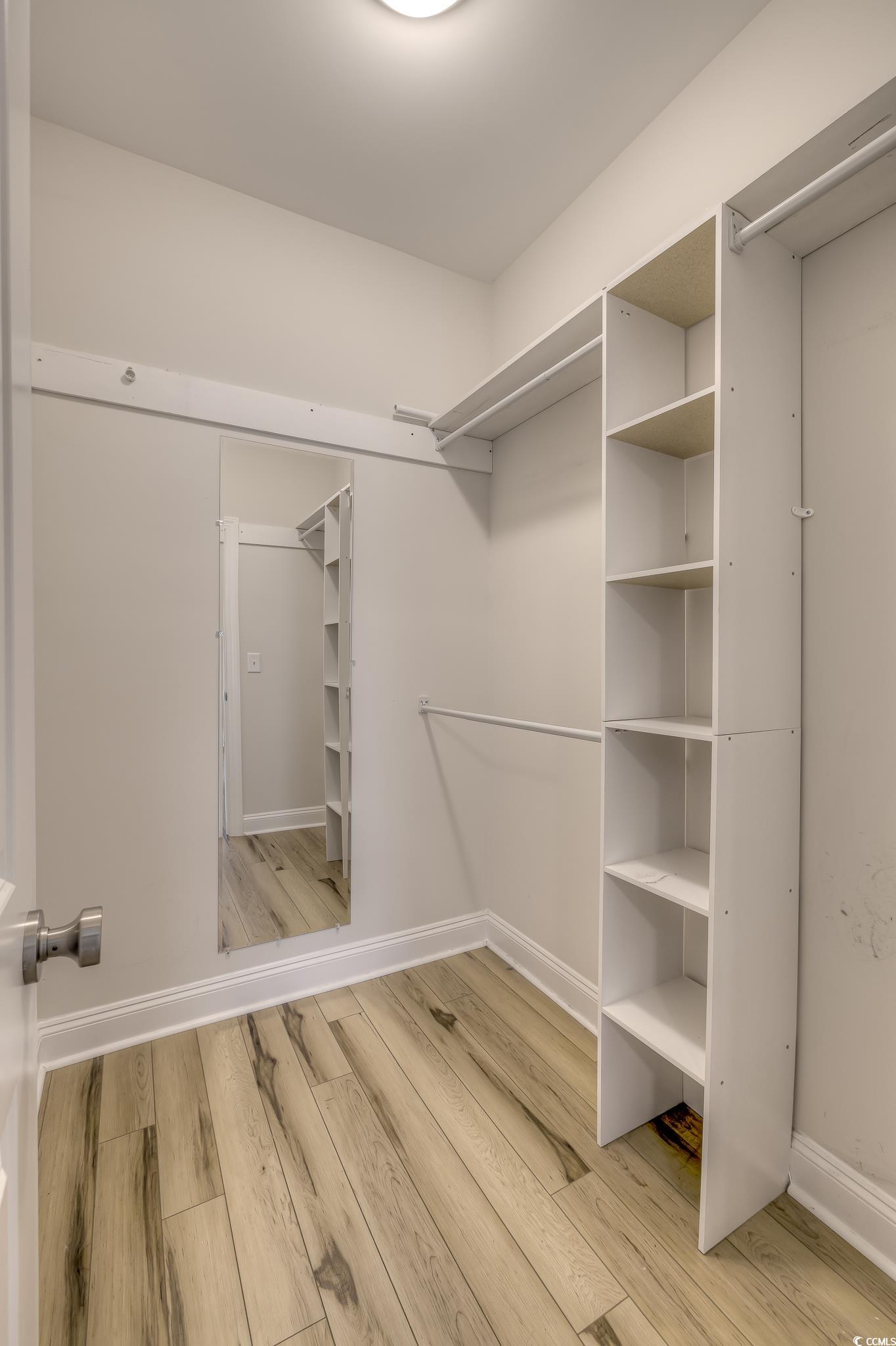 10 Saltwater Way Murrells Inlet, SC 29576 - Photo 14 of 30 Spacious closet featuring light hardwood / wood-st