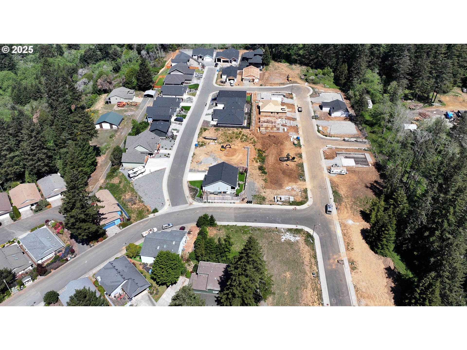 1232 Lighthouse Lane Brookings, OR 97415 - Photo 6 of 43 Fireplace