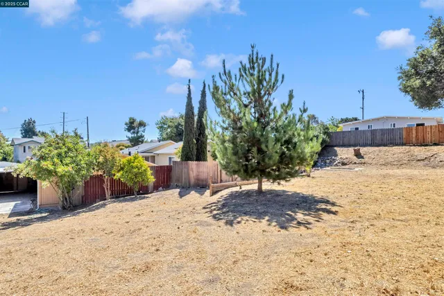 a street view with large trees and sky view