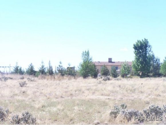 a view of a dry yard with trees