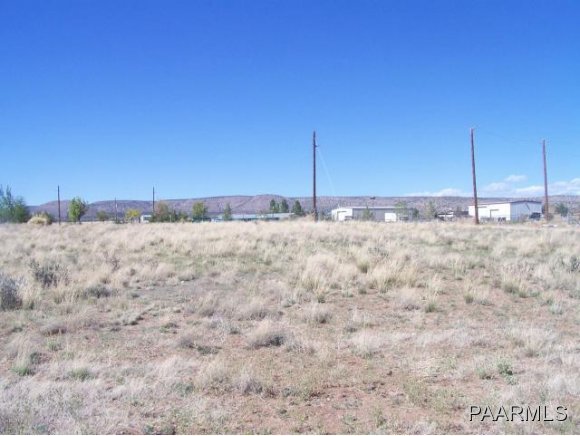 25150 North High Desert Road Paulden, AZ 86334 - Photo 5 of 6 a view of a dry yard with a tree