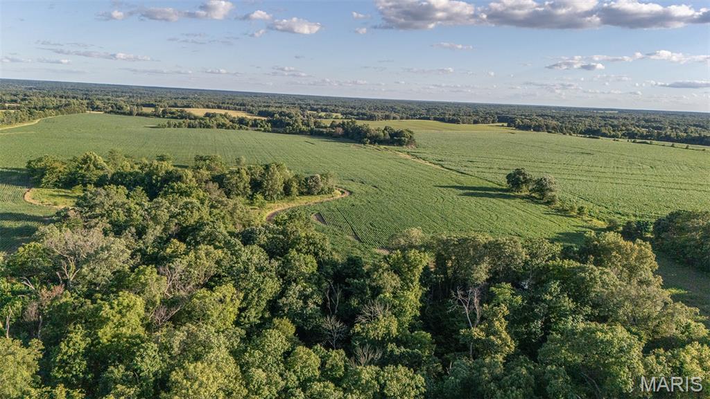 0 Gentry Road Monroe City, MO 63456 - Photo 14 of 19