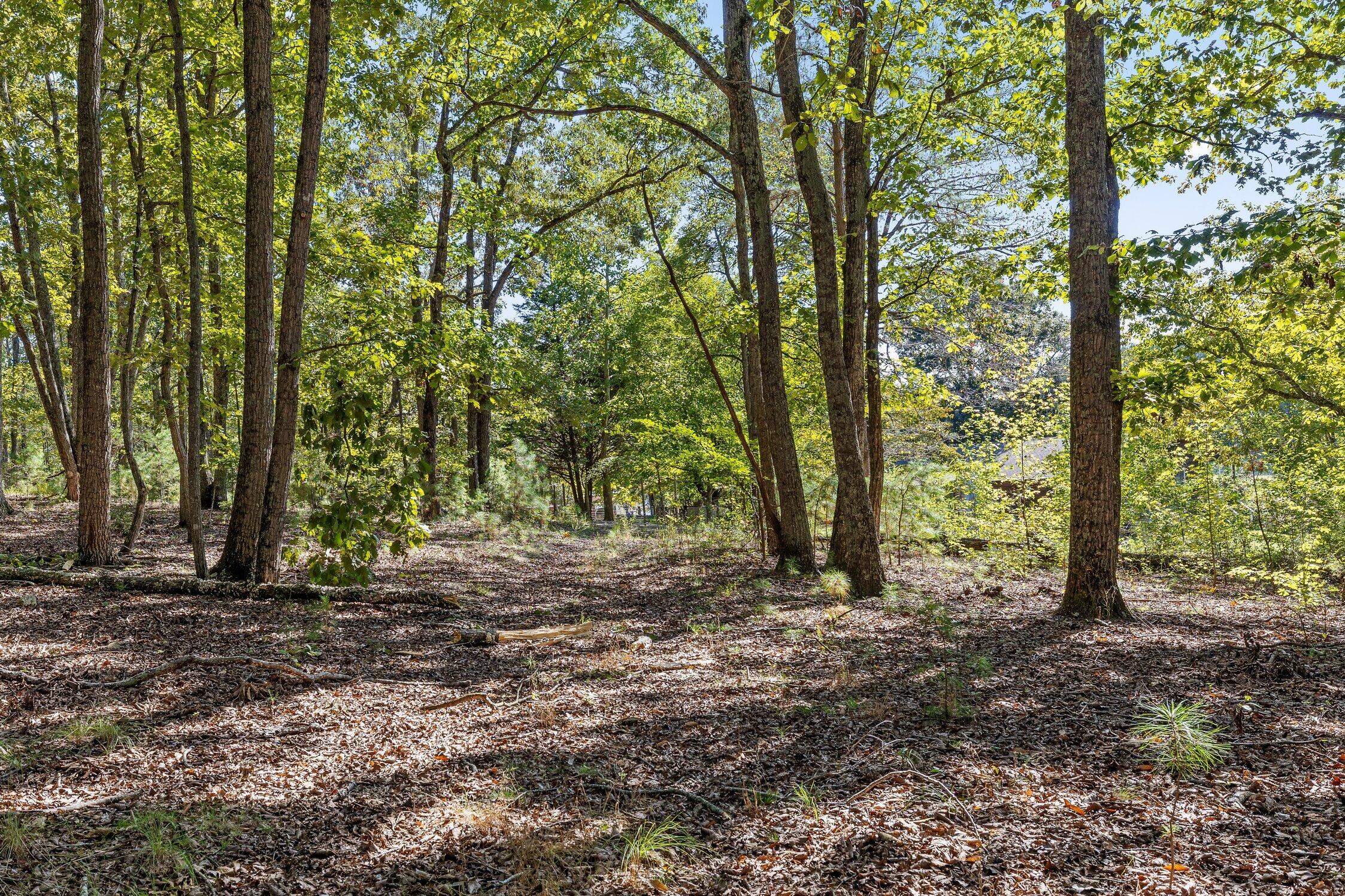 410 Tarvin Road Rock Spring, GA 30739 - Photo 45 of 72 Tarvin-51