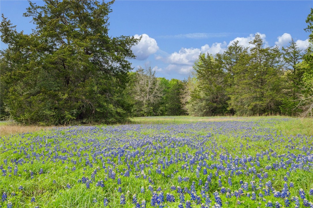 7690 Wolff Road Burton, TX 77835 - Photo 1 of 1 View of landscape
