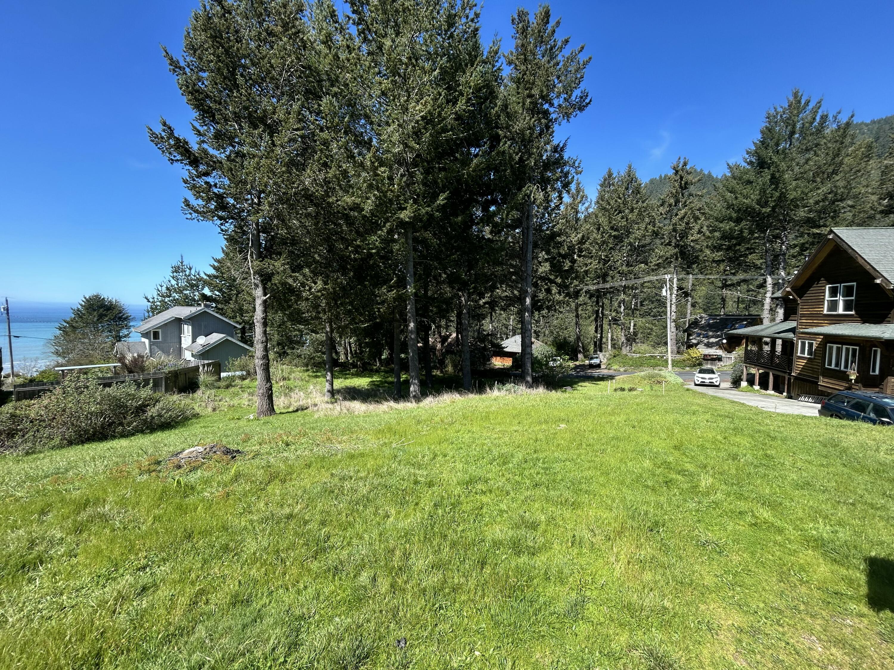 597 Ridge Road Whitethorn, CA 95589 - Photo 8 of 11