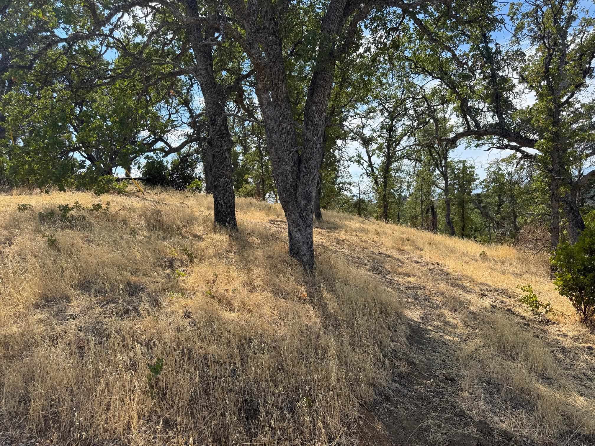 16173 Nugget Road Corning, CA 96021 - Photo 8 of 21