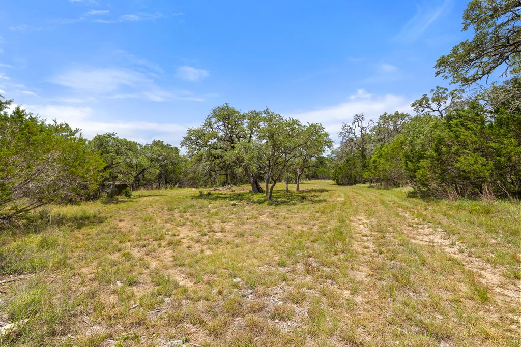 577 Rocky River Road, Unit 8 Blanco, TX 78606 - Photo 2 of 14 Mature Trees
