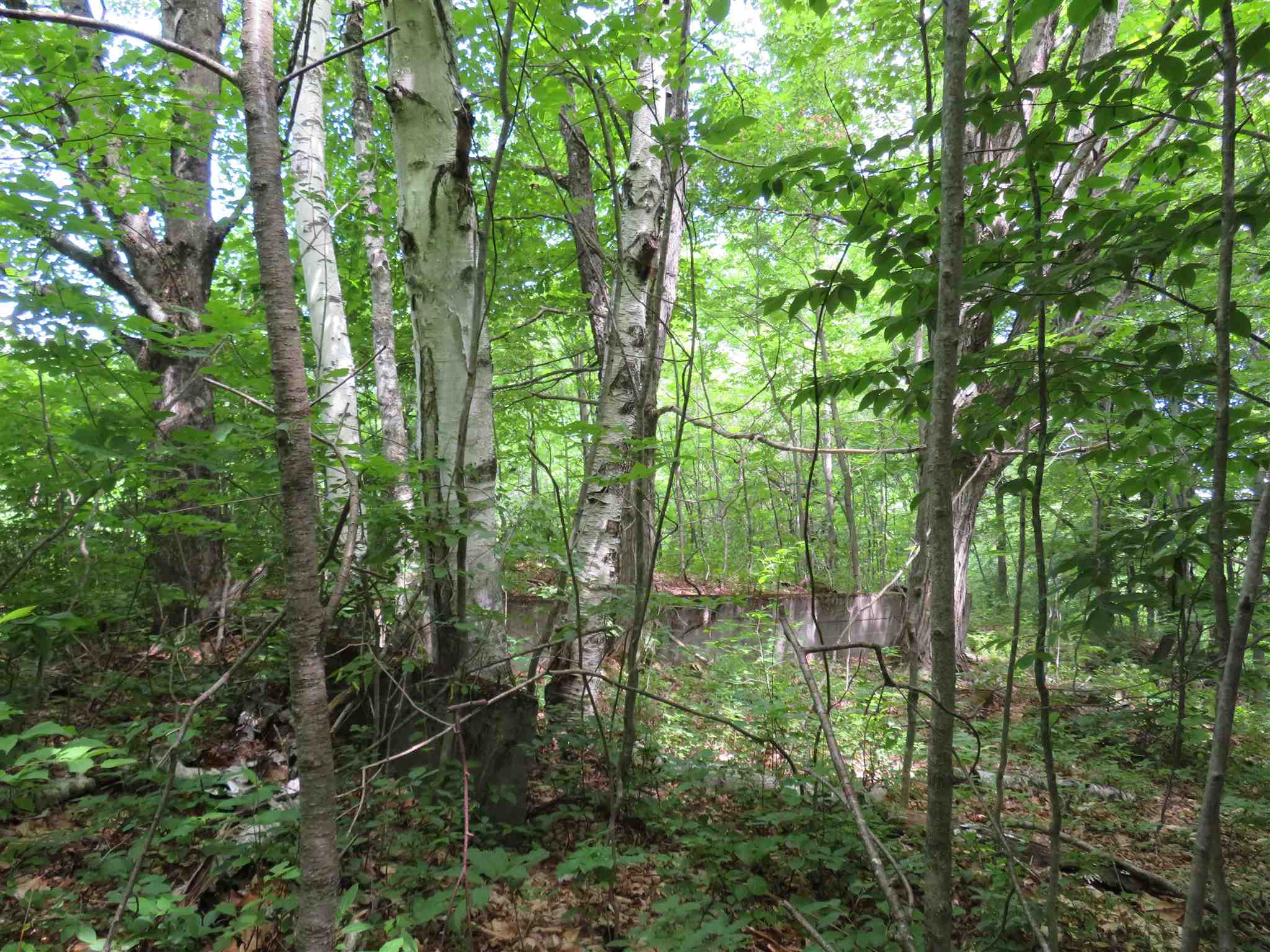 1787 Howe Hill Road Woodstock, VT 05091 - Photo 11 of 11