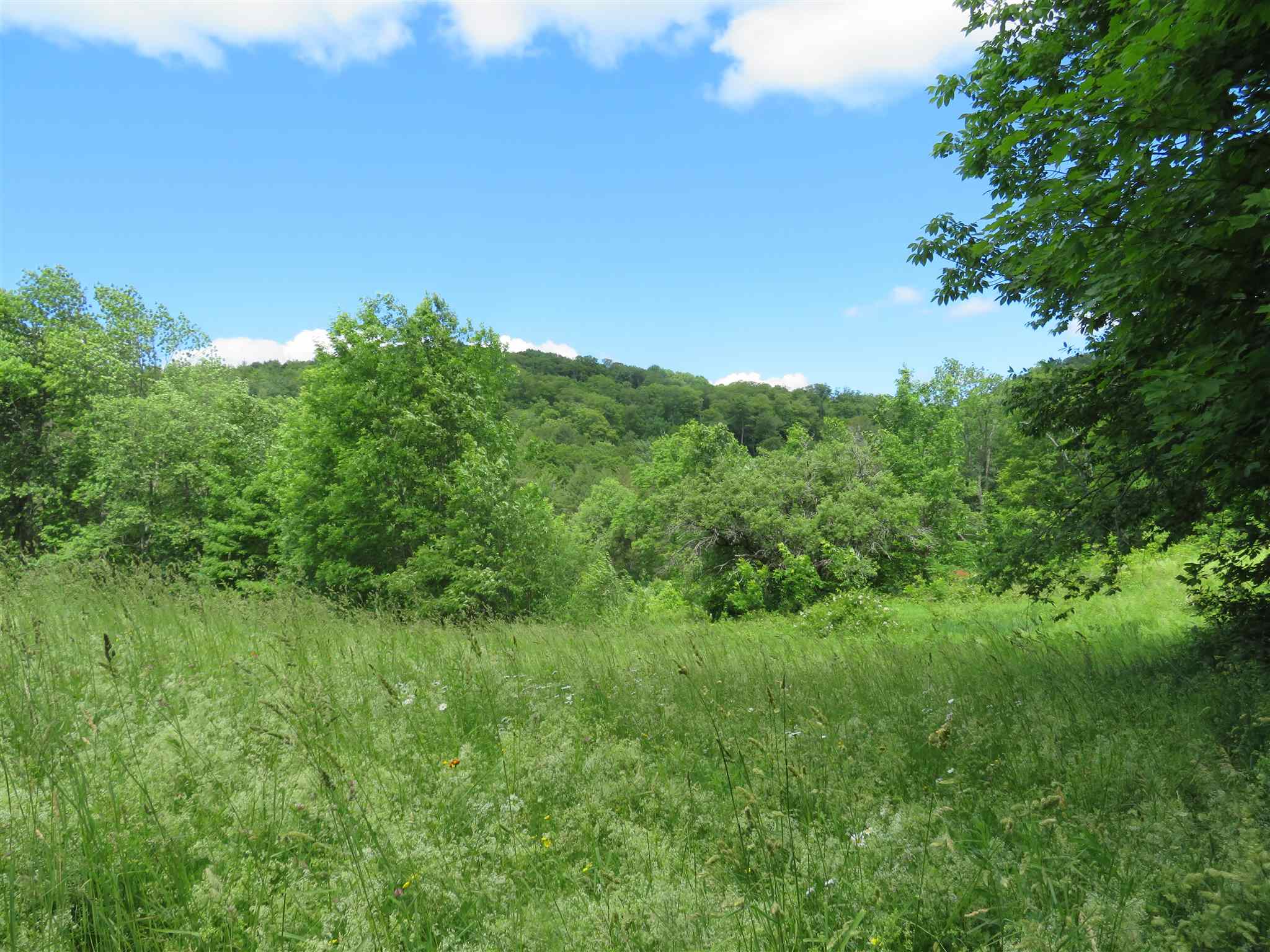 1787 Howe Hill Road Woodstock, VT 05091 - Photo 4 of 11