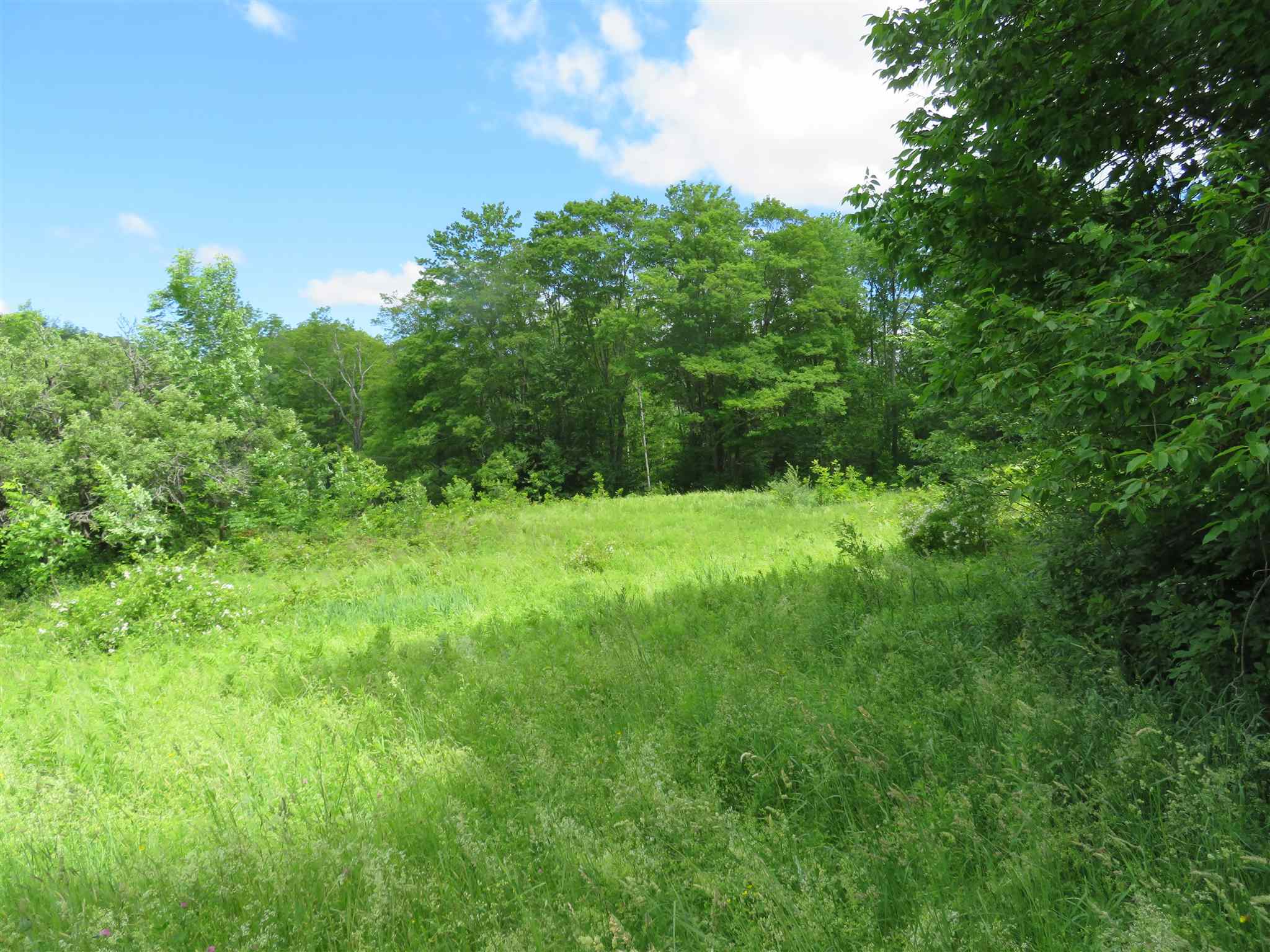 1787 Howe Hill Road Woodstock, VT 05091 - Photo 5 of 11