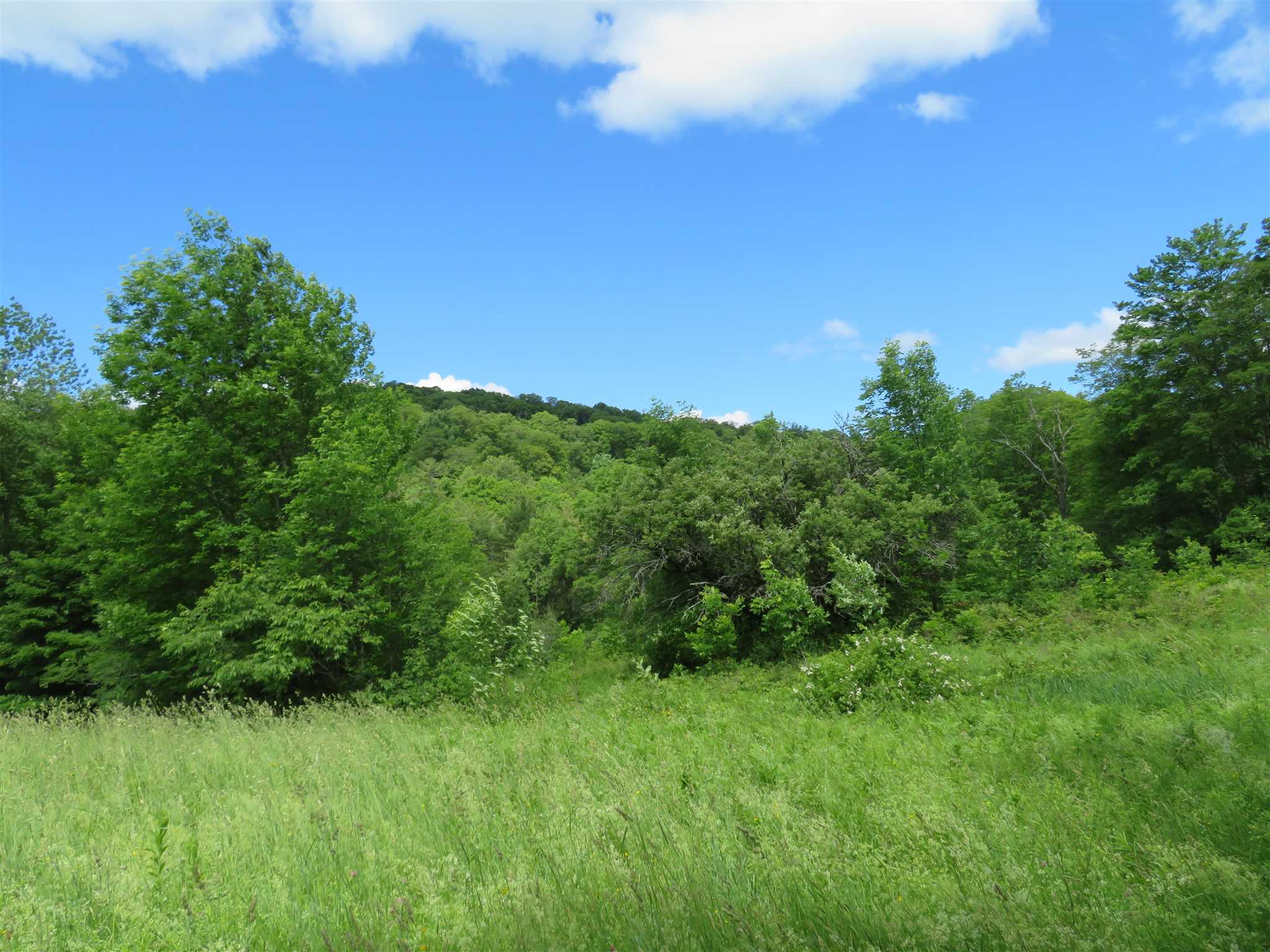 1787 Howe Hill Road Woodstock, VT 05091 - Photo 6 of 11