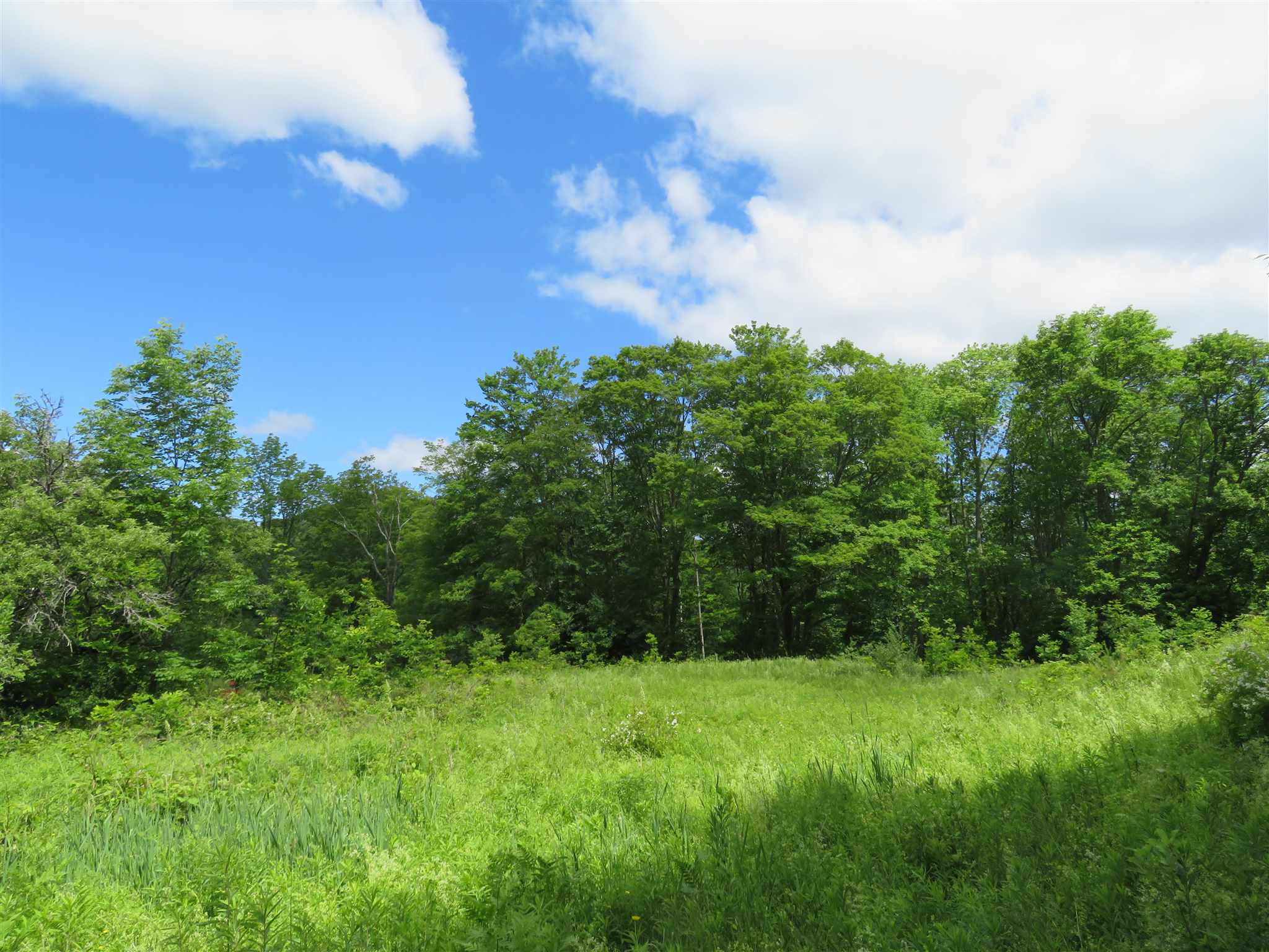 1787 Howe Hill Road Woodstock, VT 05091 - Photo 7 of 11